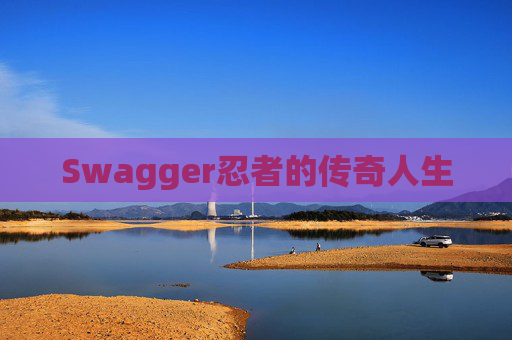 Swagger忍者的传奇人生